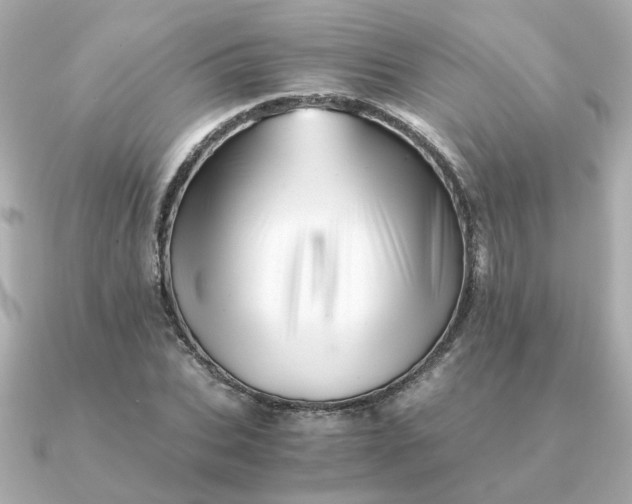 X0000090880927200708101342