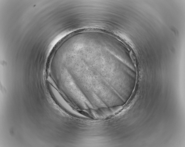 X0000090880928200708101342