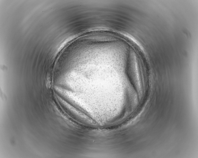 X0000090880929200708101342