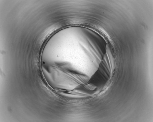 X0000090880930200708101342