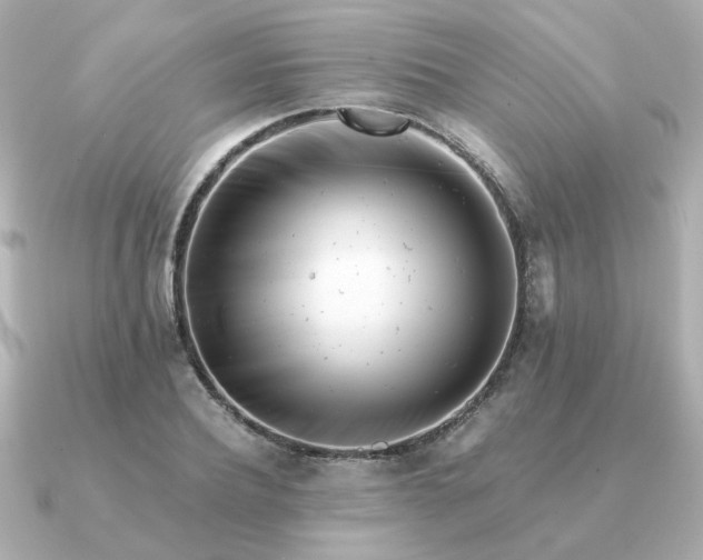 X0000090880932200708101342