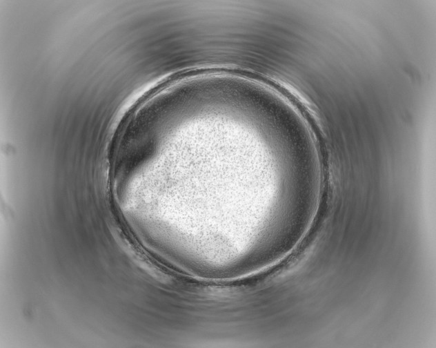 X0000090880933200708101342