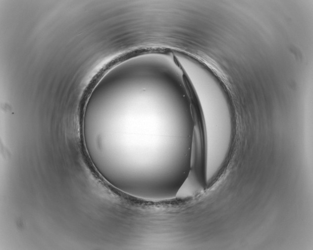 X0000090880934200708101342