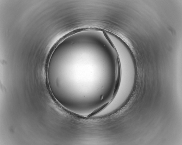 X0000090880936200708101342