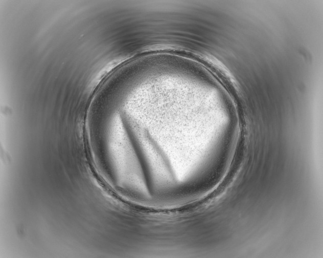 X0000090880937200708101342