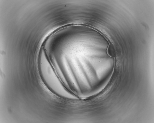 X0000090880939200708101342