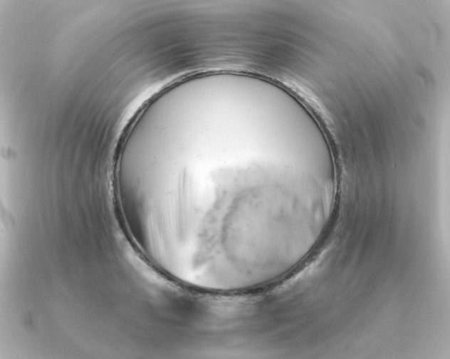 X0000090880941200708101342