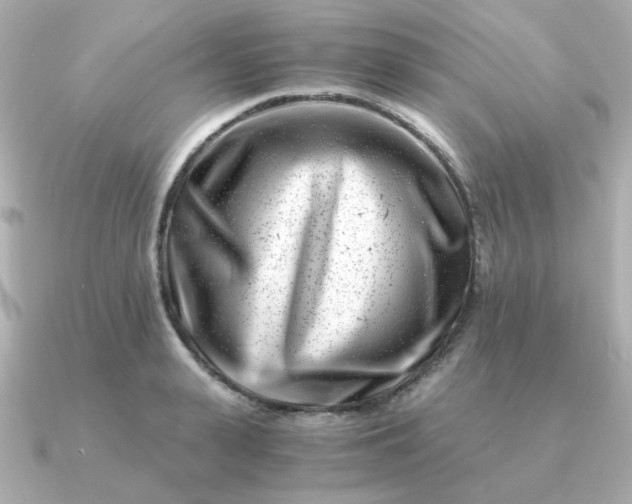 X0000090880943200708101342