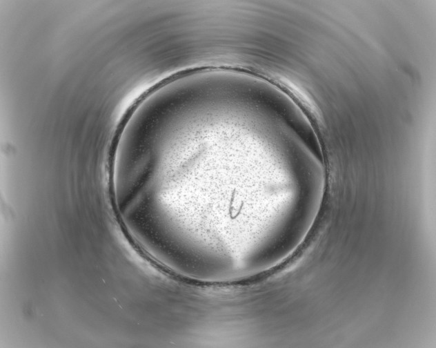 X0000090880944200708101342