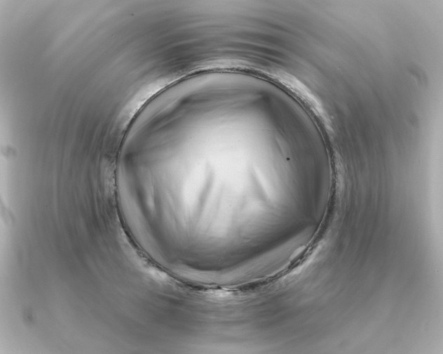 X0000090880945200708101342