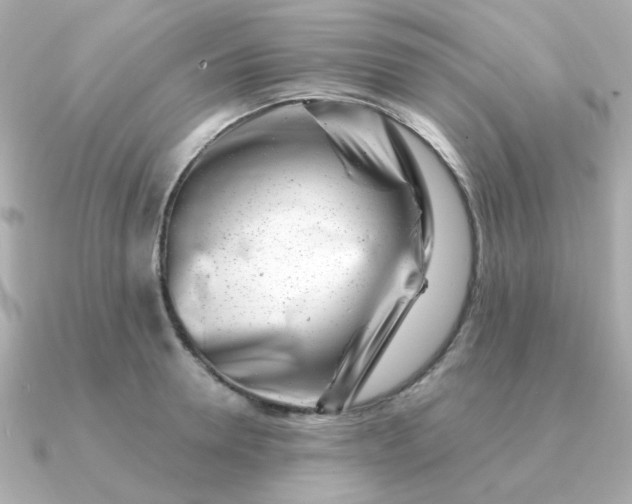 X0000090880946200708101342