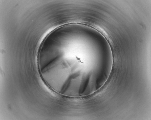 X0000090880947200708101342