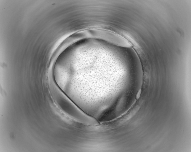 X0000090880948200708101342