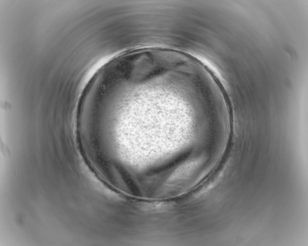 X0000090880949200708101342