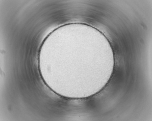 X0000090880950200708101342