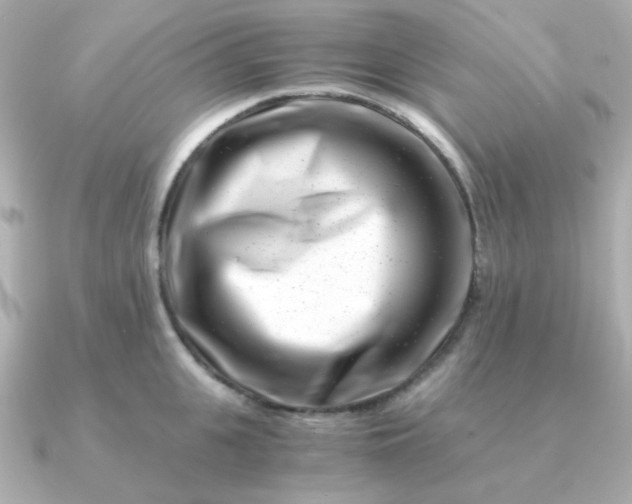 X0000090880951200708101342