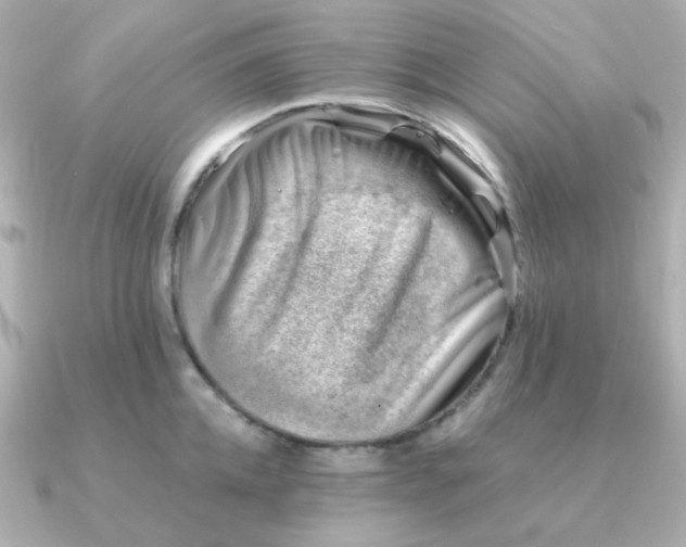 X0000090880952200708101342