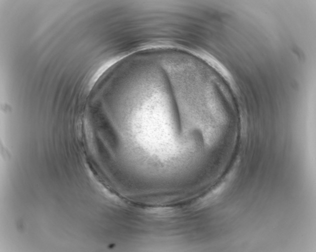 X0000090880953200708101342