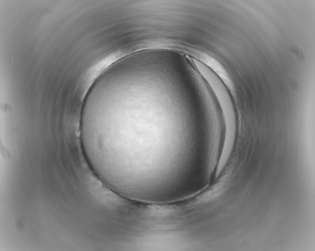 X0000090880954200708101342