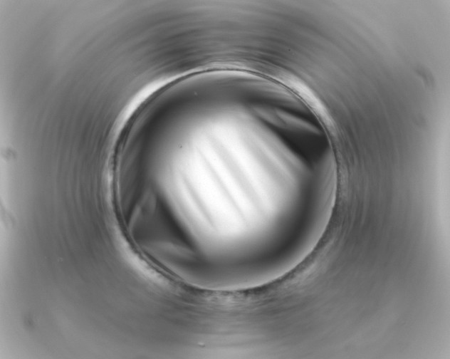 X0000090880955200708101342