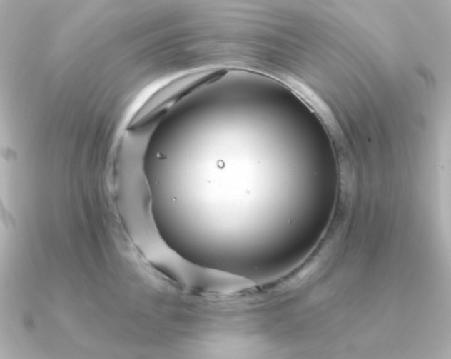 X0000090880956200708101342