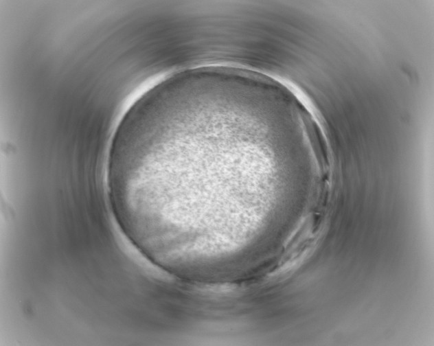 X0000090880957200708101342