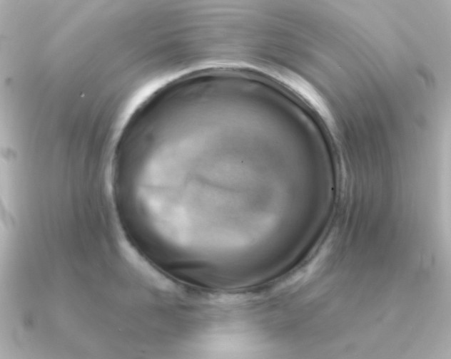 X0000090880958200708101342