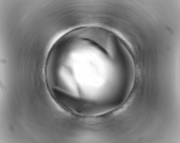 X0000090880959200708101342