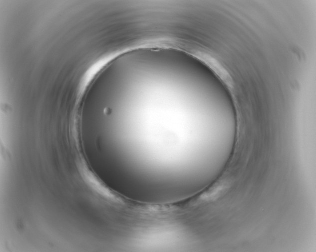 X0000090880960200708101342