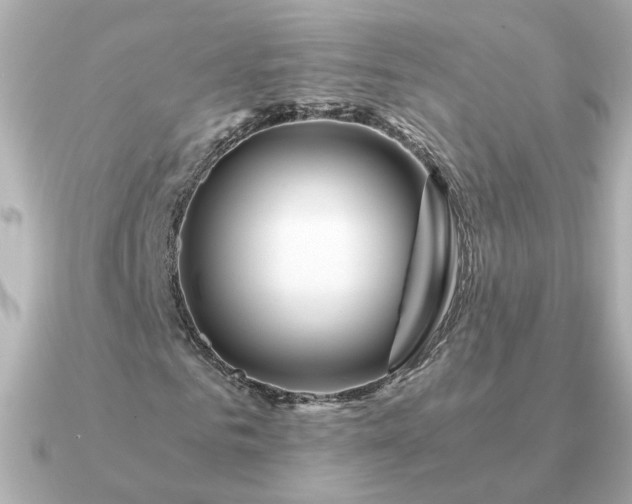 X0000090880961200708101342