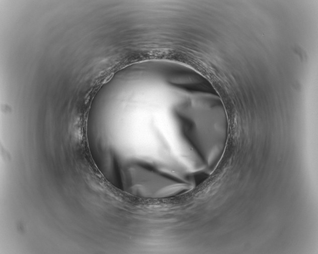 X0000090880962200708101342