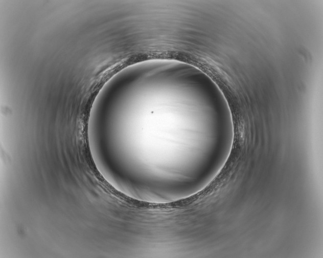 X0000090880964200708101342