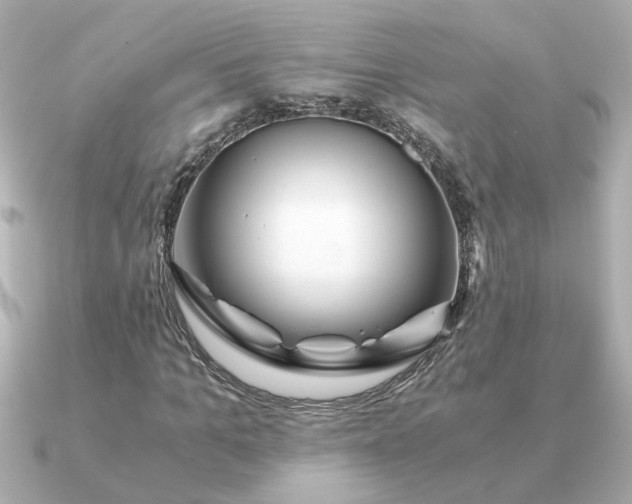 X0000090880965200708101342