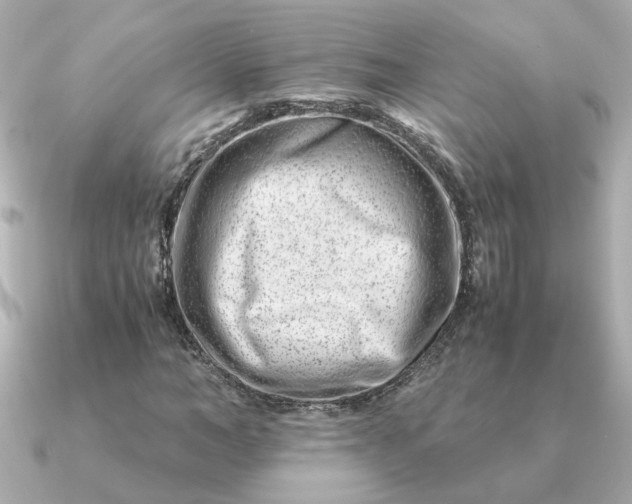 X0000090880966200708101342