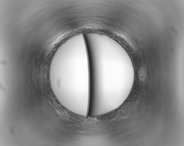 X0000090880968200708101342