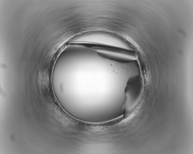 X0000090880969200708101342