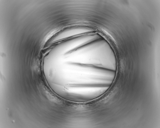 X0000090880970200708101342