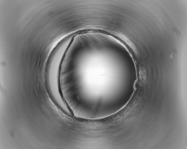 X0000090880972200708101341