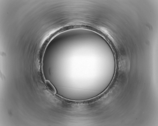 X0000090880973200708101341