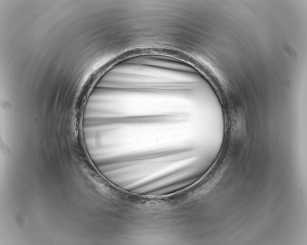 X0000090880974200708101341