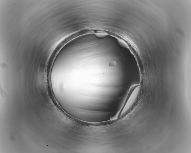 X0000090880976200708101341