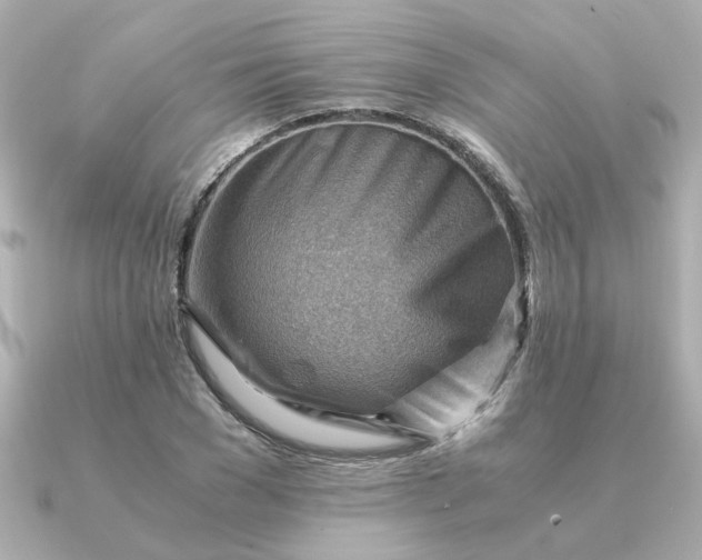 X0000090880977200708101341