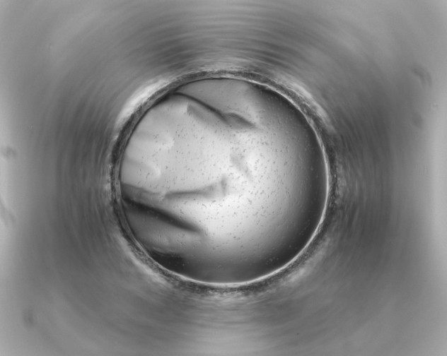 X0000090880978200708101341