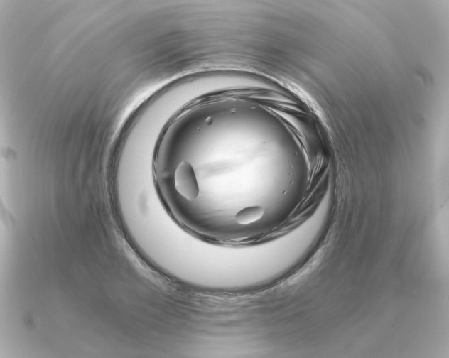 X0000090880981200708101341