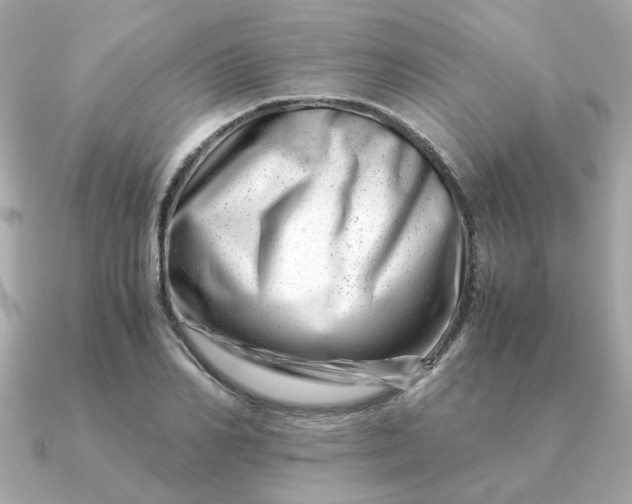 X0000090880982200708101341