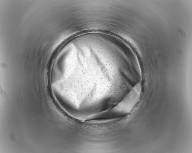 X0000090880983200708101341