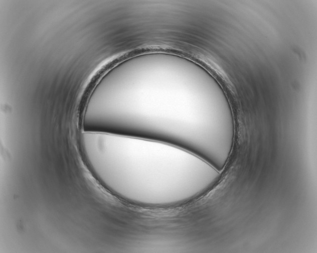 X0000090880984200708101341