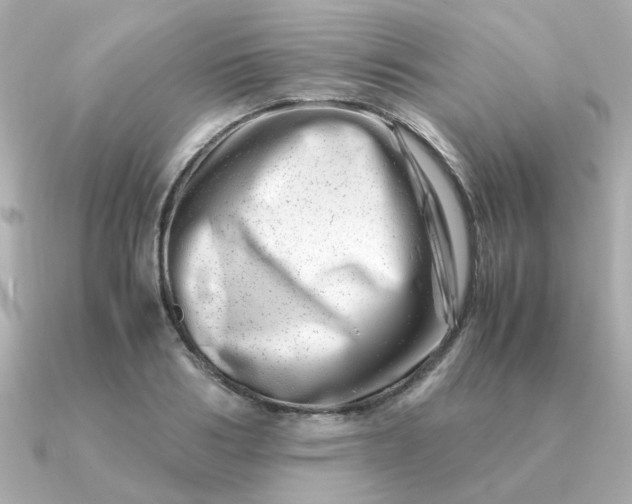 X0000090880986200708101341