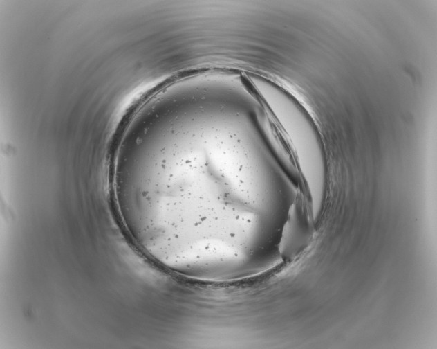 X0000090880987200708101341