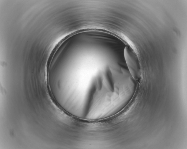 X0000090880988200708101341